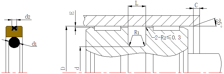 DSH-Professional Piston Seal Piston Ring Supplier-6